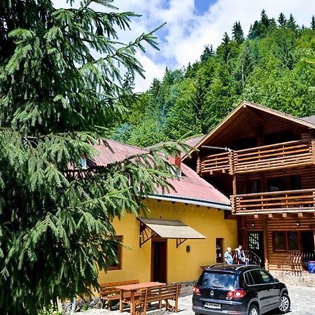 Cabana Bradul Rodna Екстер'єр фото